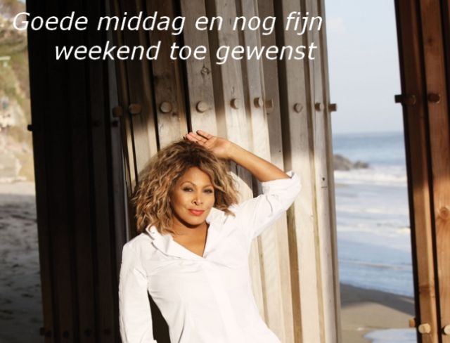 Tina-Turner-2008_go…